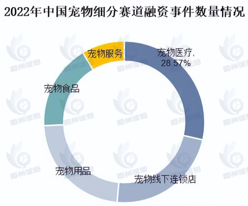 寵物醫(yī)療行業(yè)調(diào)研：2024年中國寵物醫(yī)療市場規(guī)模達(dá)到了約 590 億元