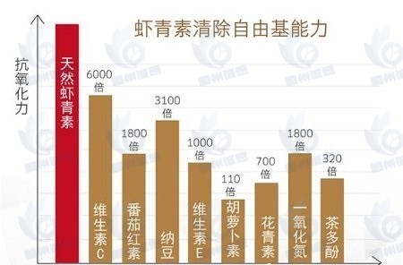 天然蝦青素市場(chǎng)報(bào)告：預(yù)計(jì)2031年將達(dá)到1.48億美元