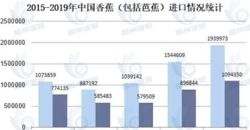 香蕉（包括芭蕉）市場(chǎng)發(fā)展趨勢(shì)分析：國(guó)內(nèi)香蕉品質(zhì)提升帶動(dòng)出口增長(zhǎng)，中國(guó)香蕉國(guó)際競(jìng)爭(zhēng)力增強(qiáng)