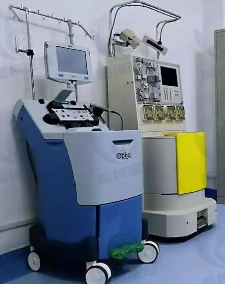 再生医学市场发展趋势分析：先进医疗技术需求不断增长，全球再生医学市场规模加速扩容