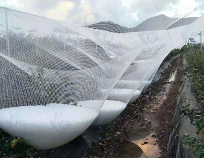 防雹网市场发展趋势分析：冰雹、大风等极端天气频发，市场需求持续增长