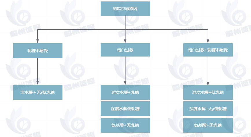 水解牛奶蛋白市场报告：预计到2031年收入规模将接近37.5亿元