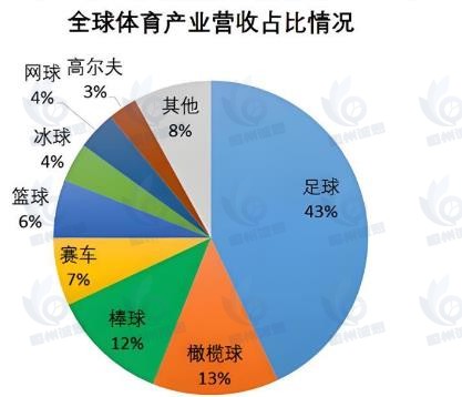 智能足球市场报告：2025-2031年CAGR为8.6%