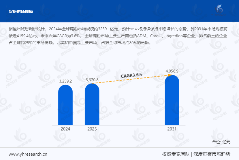 2023 - 2035 淀粉行业：区域重构、品类发展与未来展望