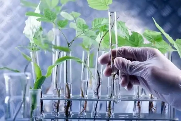 全球生物农药市场深度分析：政策驱动与技术突围下的产业重构