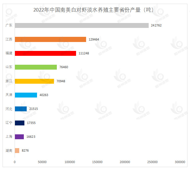 209.86万吨背后的产业革命：南美白对虾市场报告揭秘13.6%增长密码与区域霸主争夺战