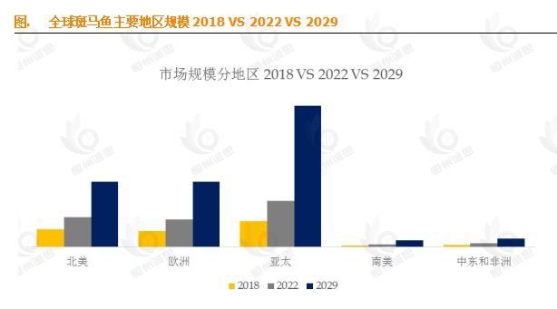 13.6% CAGR背后的秘密：全球斑马鱼市场深度解码与未来增长蓝图